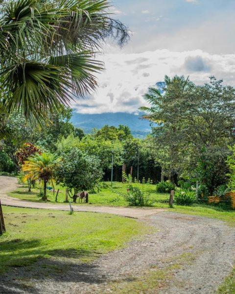 Linda Casa De Verano Con Amplias Zonas Verdes San Isidro De El General Экстерьер фото