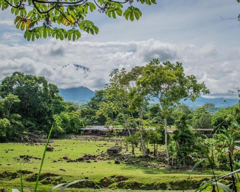 Linda Casa De Verano Con Amplias Zonas Verdes San Isidro De El General Экстерьер фото