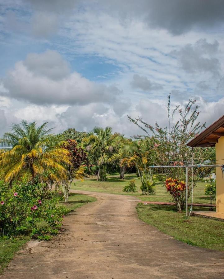 Linda Casa De Verano Con Amplias Zonas Verdes San Isidro De El General Экстерьер фото