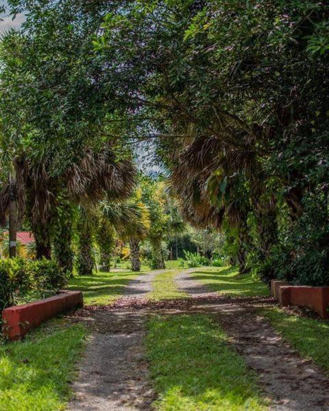 Linda Casa De Verano Con Amplias Zonas Verdes San Isidro De El General Экстерьер фото